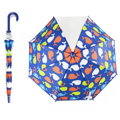 Sublimation Transparent Clear Umbrella